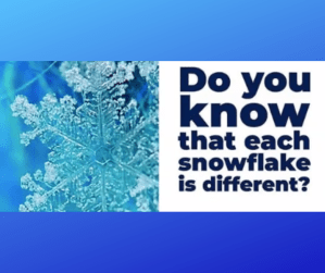 Untitled design (17)